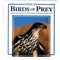 Southern African Birds of Prey - Pickford 1993